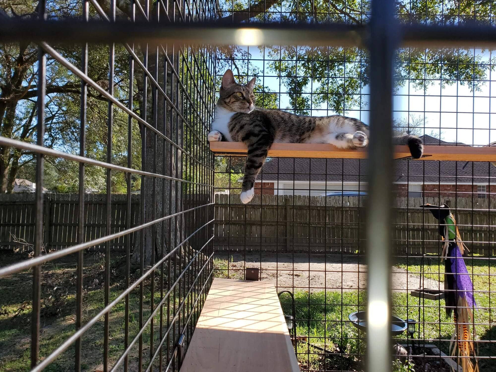 Why Choose Habitat Haven? - Habitat Haven