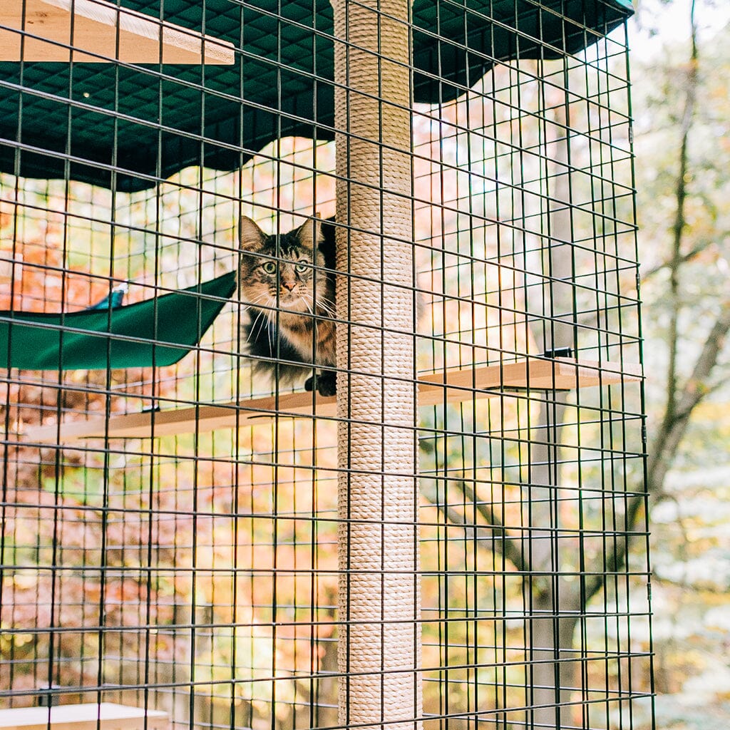 Catio Scratch Post: Outdoor Cat Climbing Post - Habitat Haven