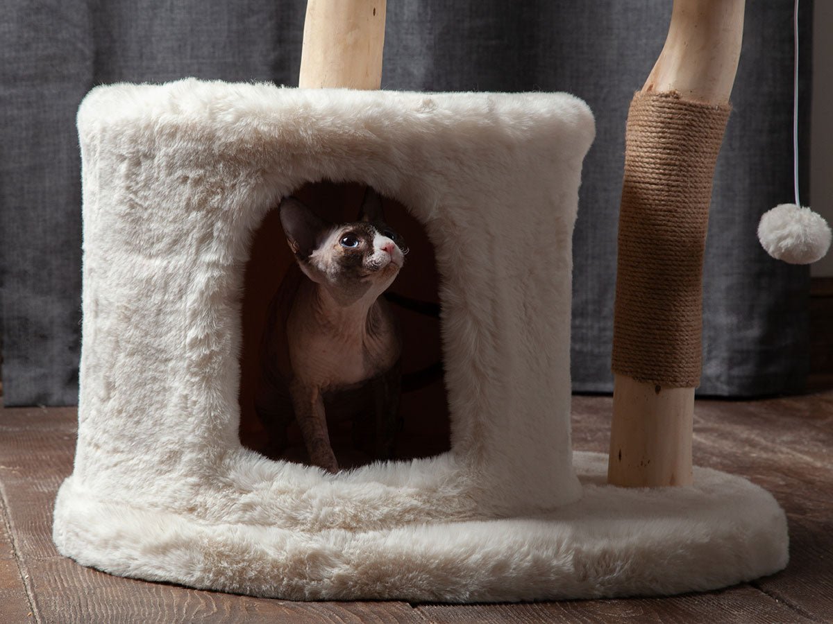 5 Surprising Benefits of Upgrading to a Modern Cat Tree Today - Habitat Haven