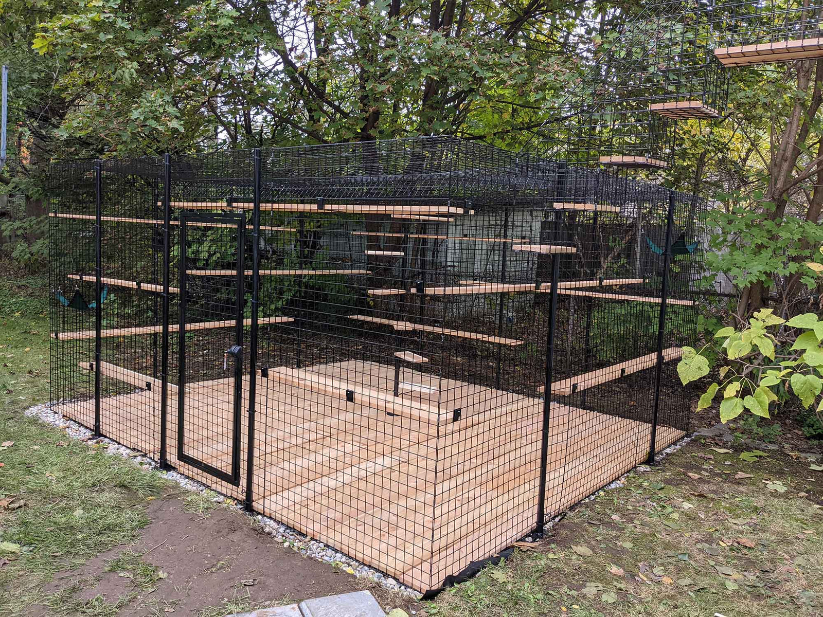 Everything You Need to Know About Catios - Habitat Haven