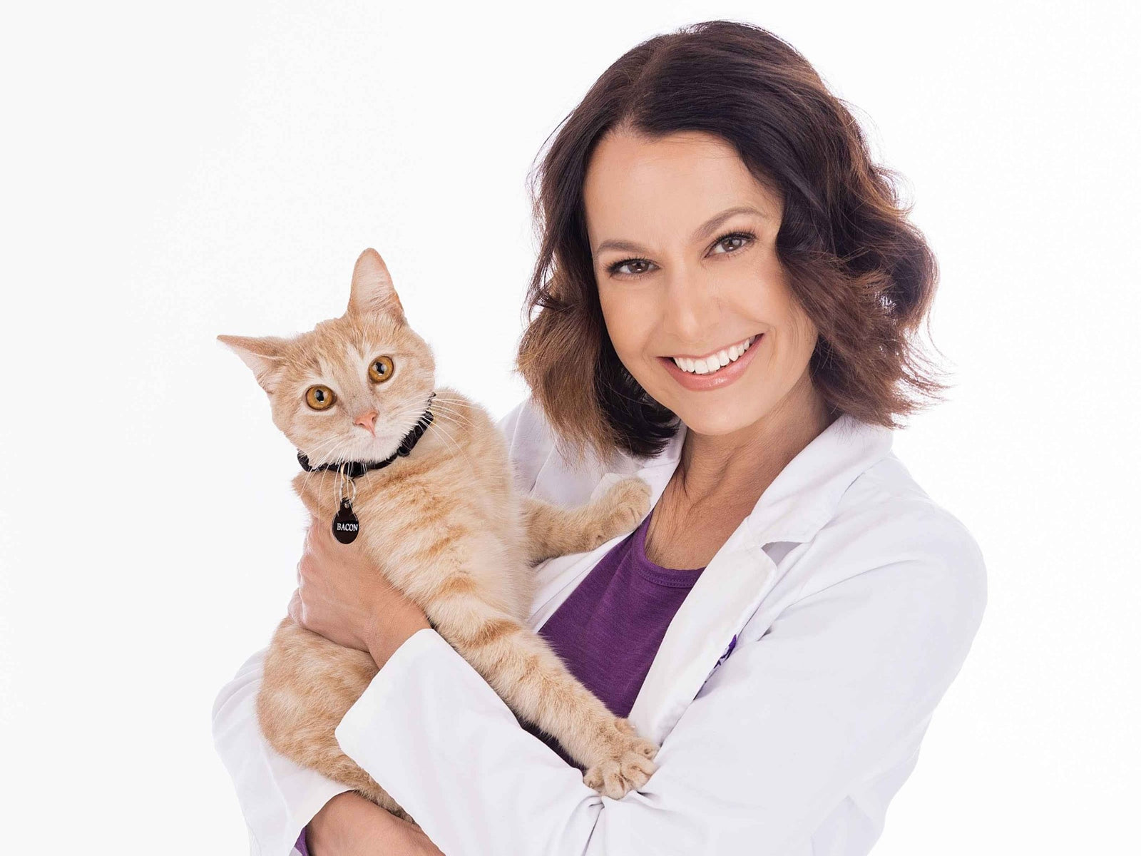 The Benefits of Outdoor Catios - Written by a Feline-Specialist Veterinarian - Habitat Haven