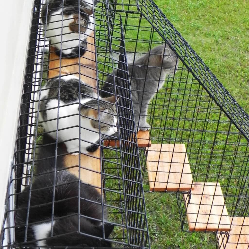 4 Step Stairs - Top Left Turn - Habitat Haven