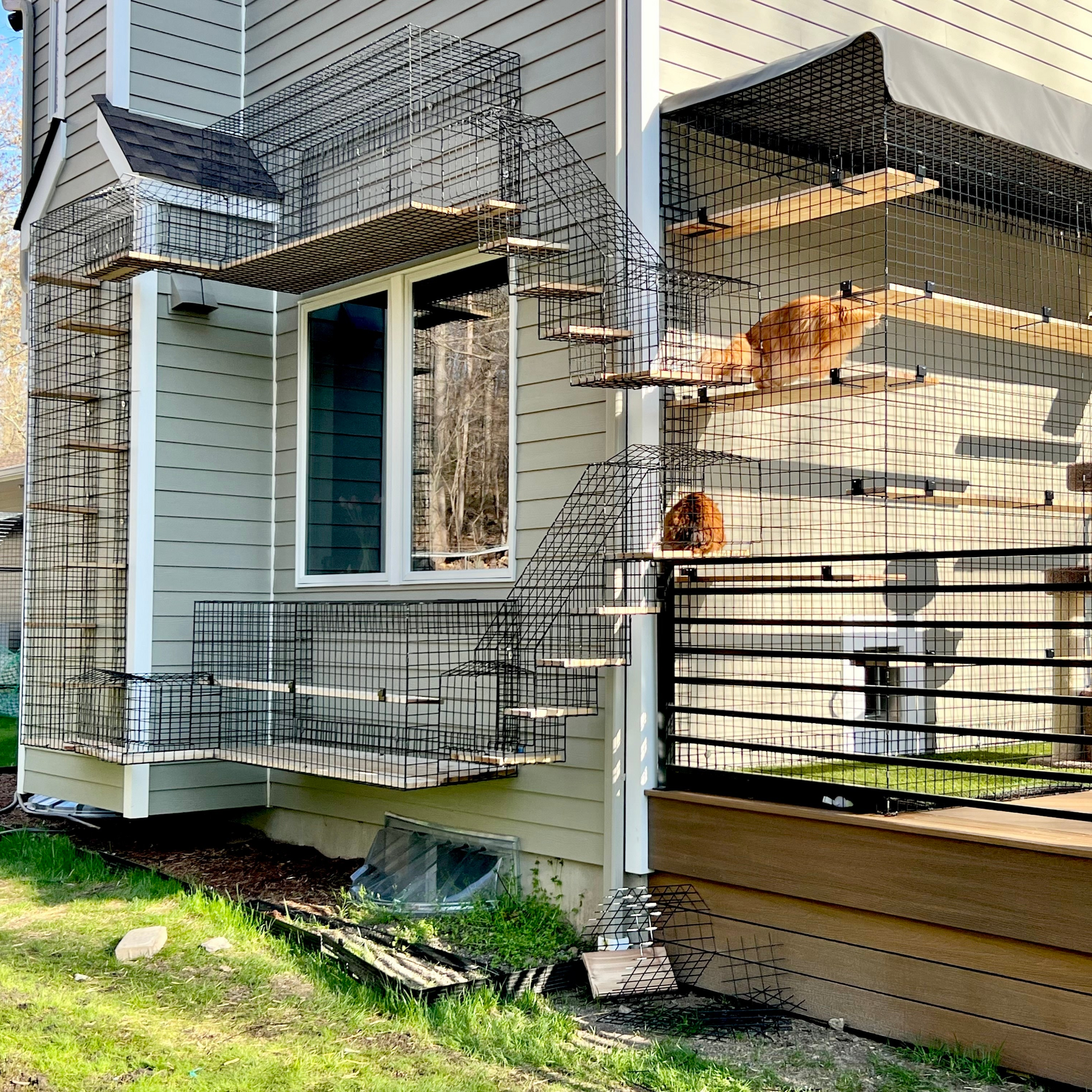 Custom Catios - Habitat Haven