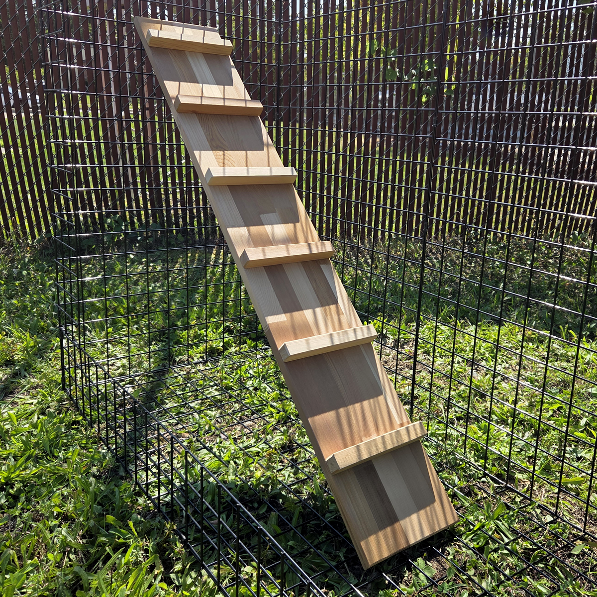 Catio Walkway & Ramp for Habitat Haven Enclosure