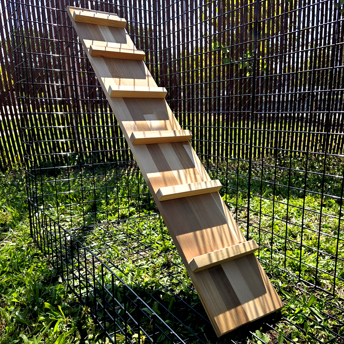Catio Walkway & Ramp for Habitat Haven Enclosure