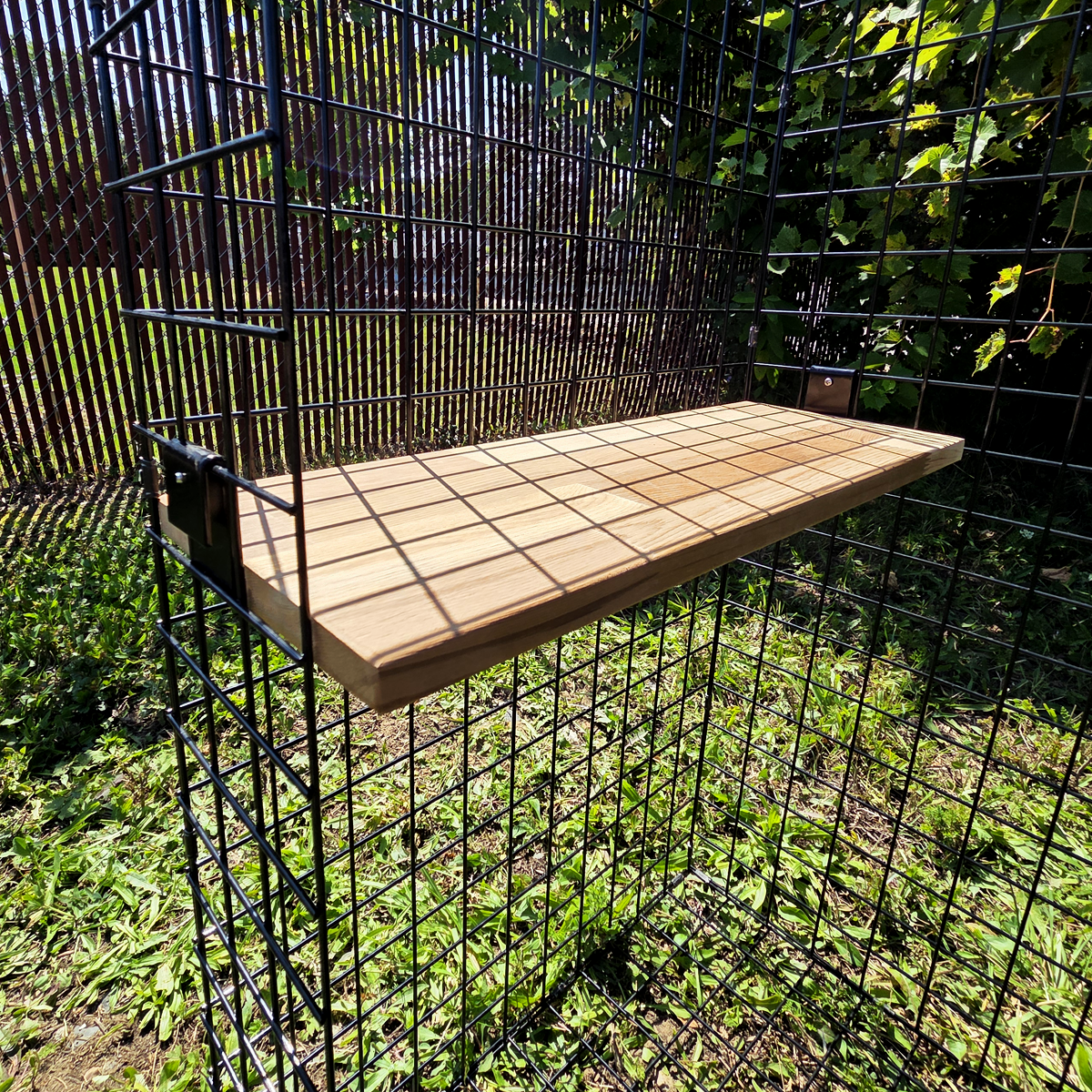 Catio Shelves