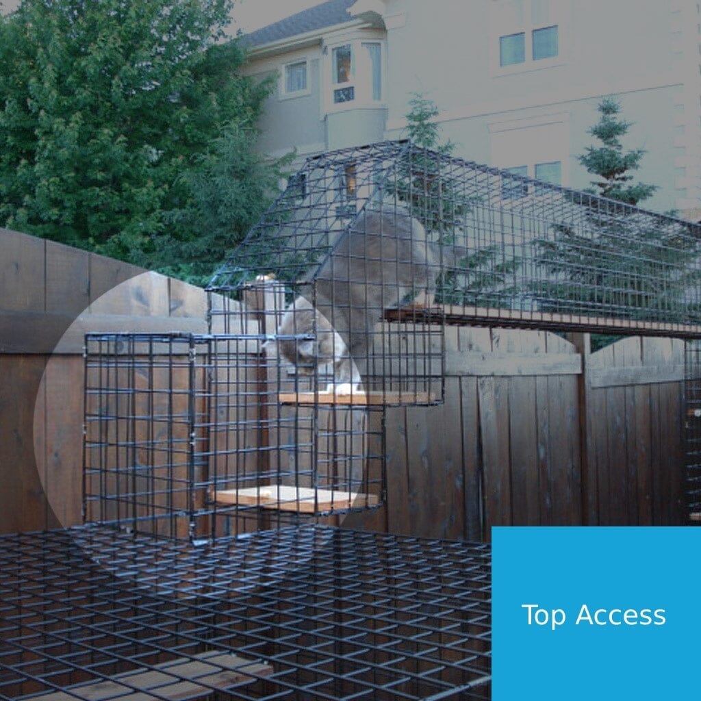 Access Box - Habitat Haven