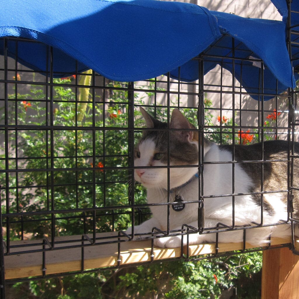 Awnings For Catio Tunnels - Habitat Haven
