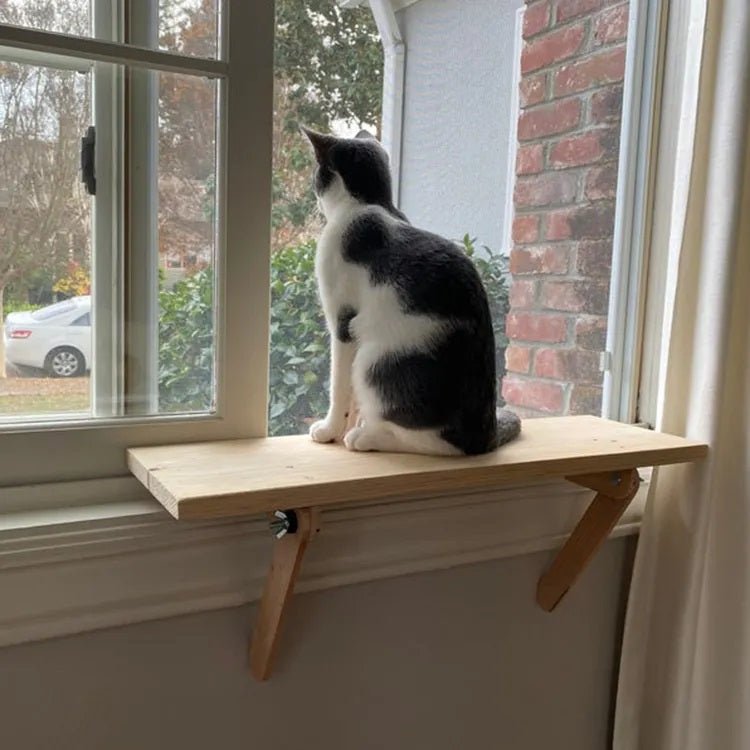 Cat Window Perch and Catio Entry/Exit Interior Shelf - Habitat Haven