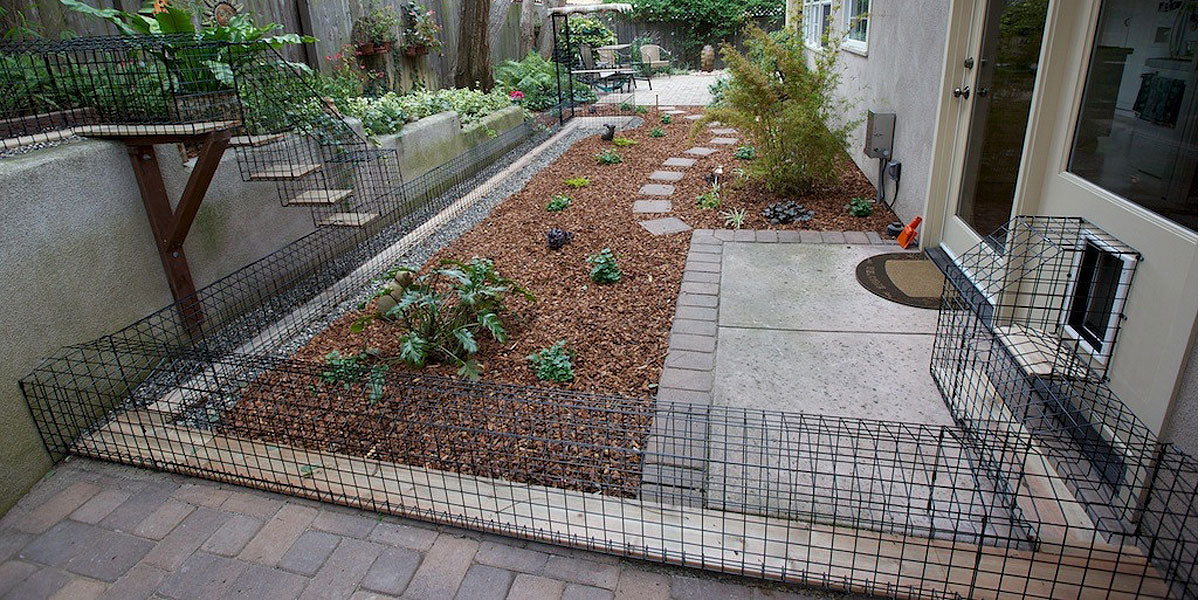 Catio tunnel clearance