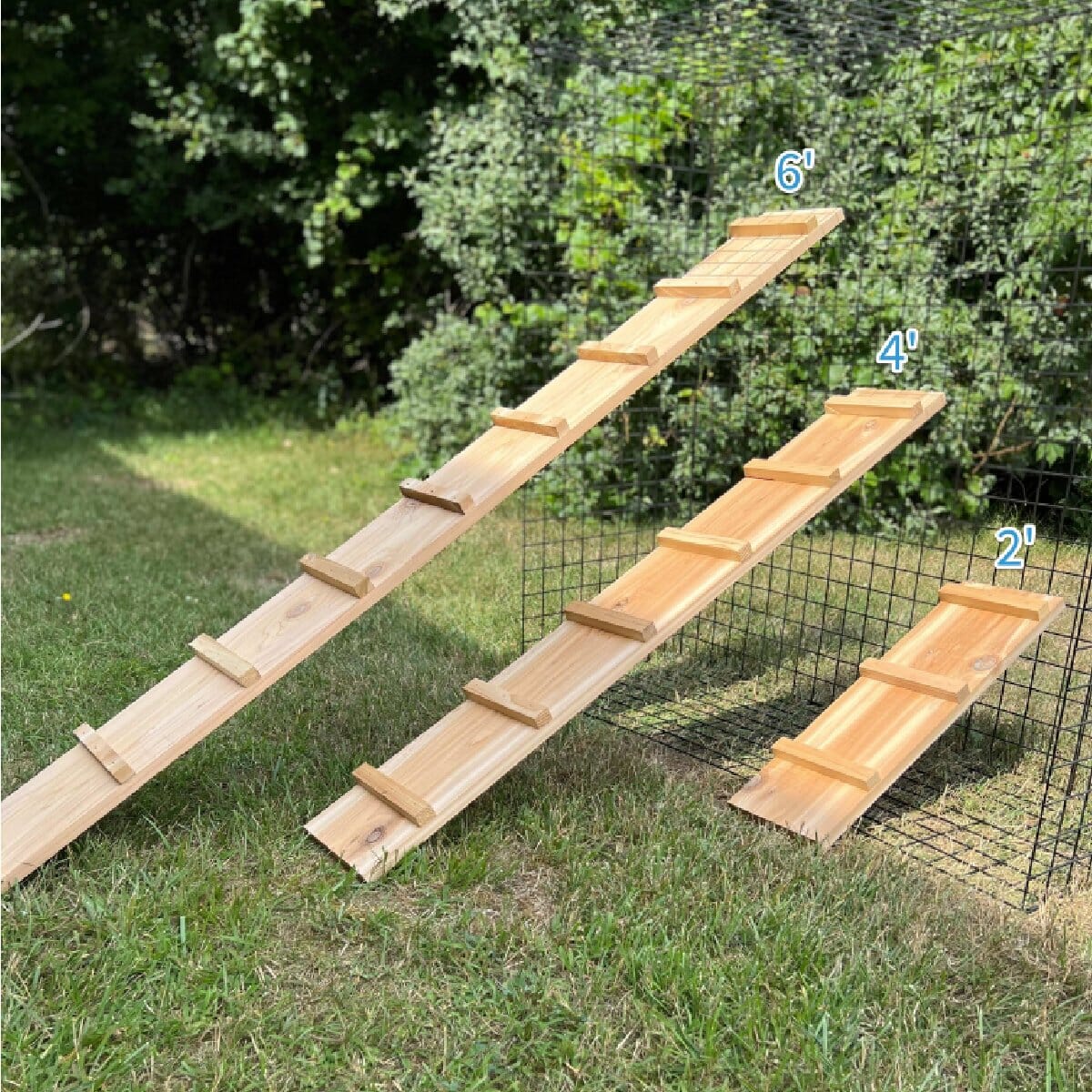 Stunning Bird Enclosure Wheelchair Ramp Designs image