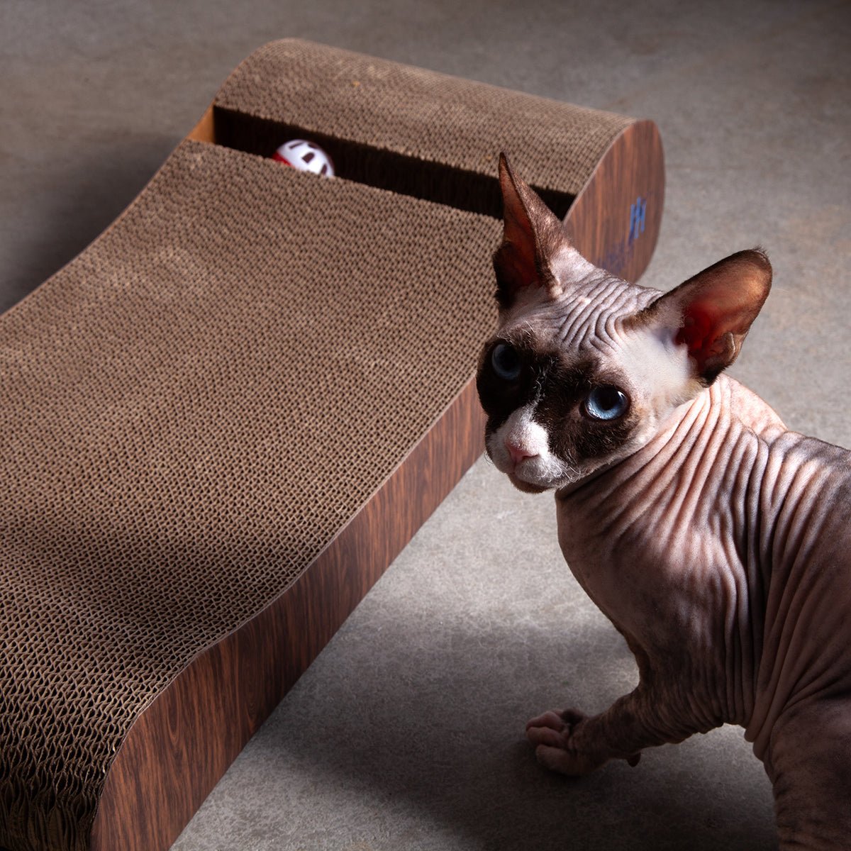 Habitat Haven Large Premium Cat Scratch Pad - Habitat Haven