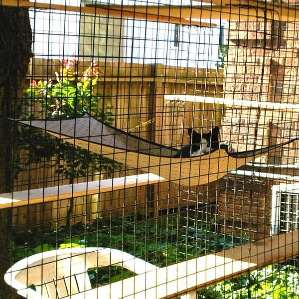 HangTime Hammock - Habitat Haven