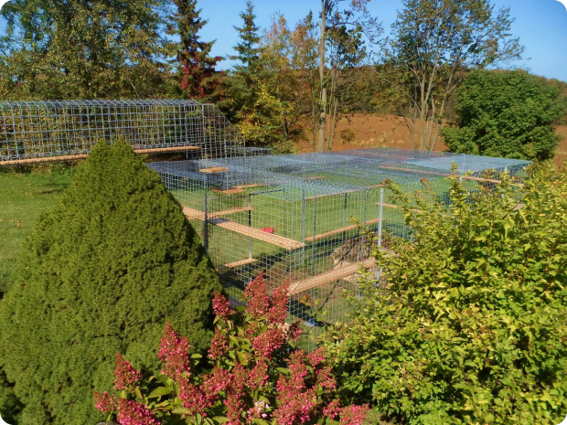 Habitat Haven Large Custom Outdoor Catio Cat Enclosure Galvanized