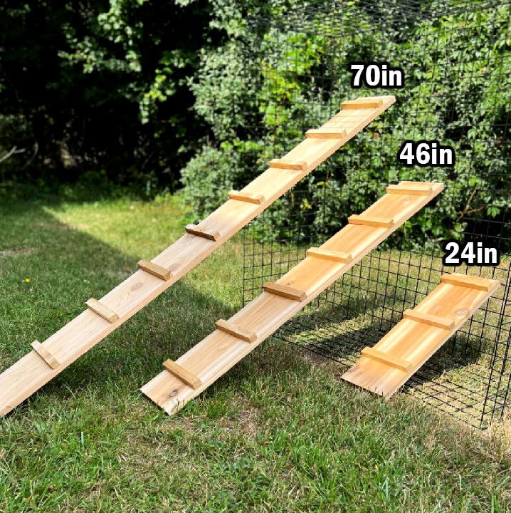 Catio Walkway & Ramp for Habitat Haven Enclosure