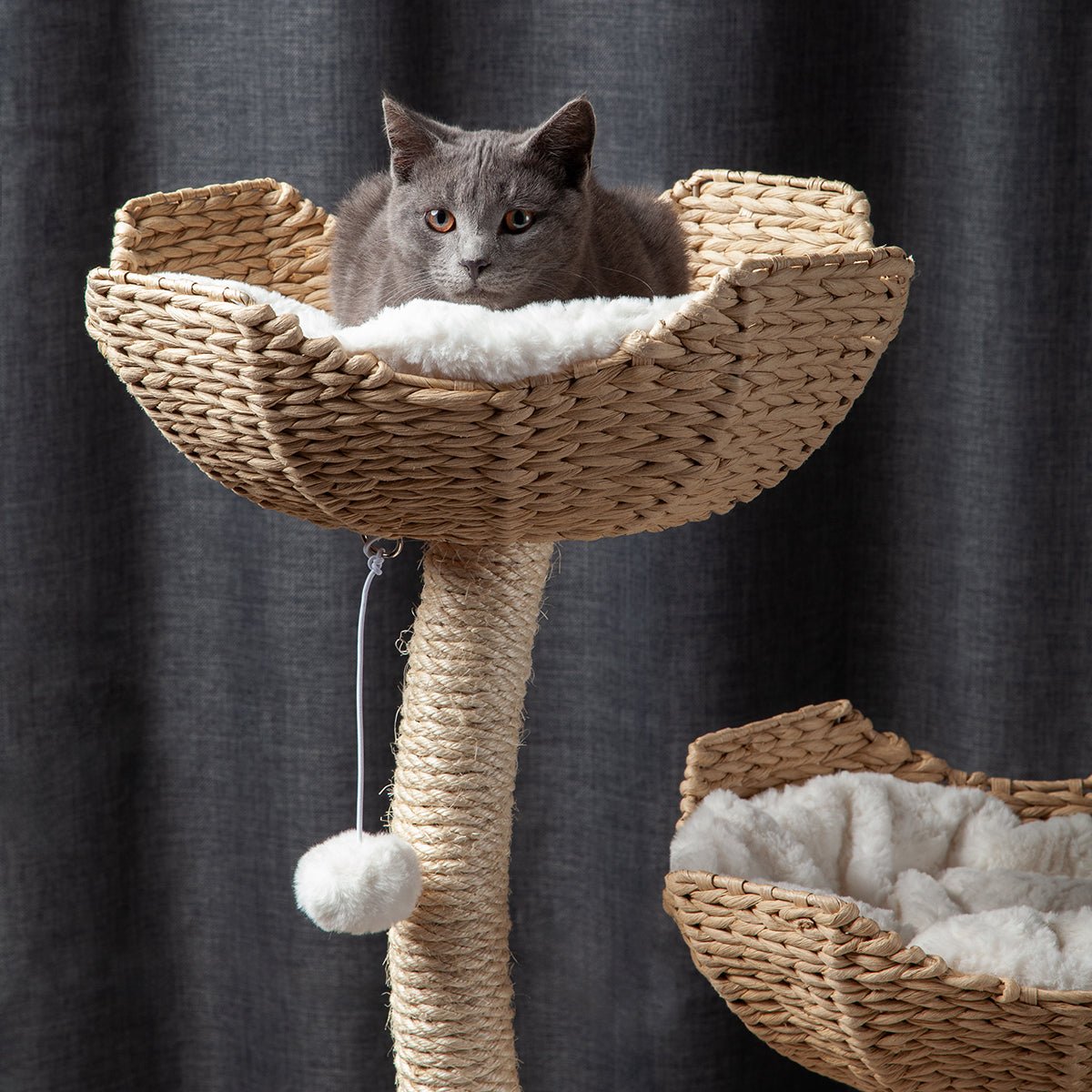 Rectangular Cat Tree The Sanctuary Cat Tree for Large Cats | Habitat Haven
