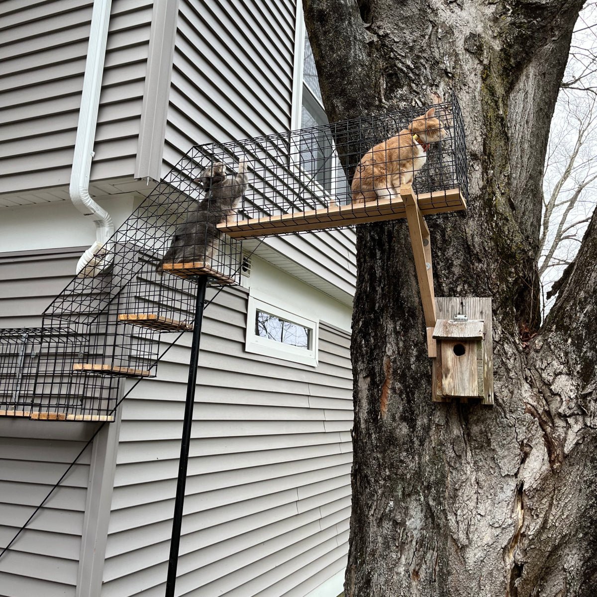 Catio Tunnel Left Turn Habitat Haven - Main Image