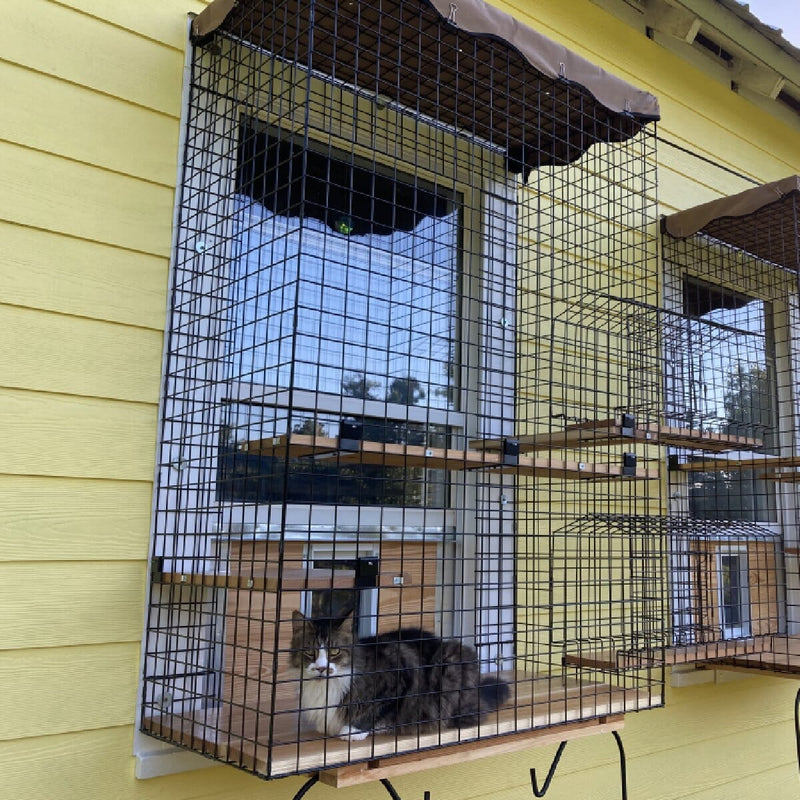 Window Catio Box Enclosure | Habitat Haven